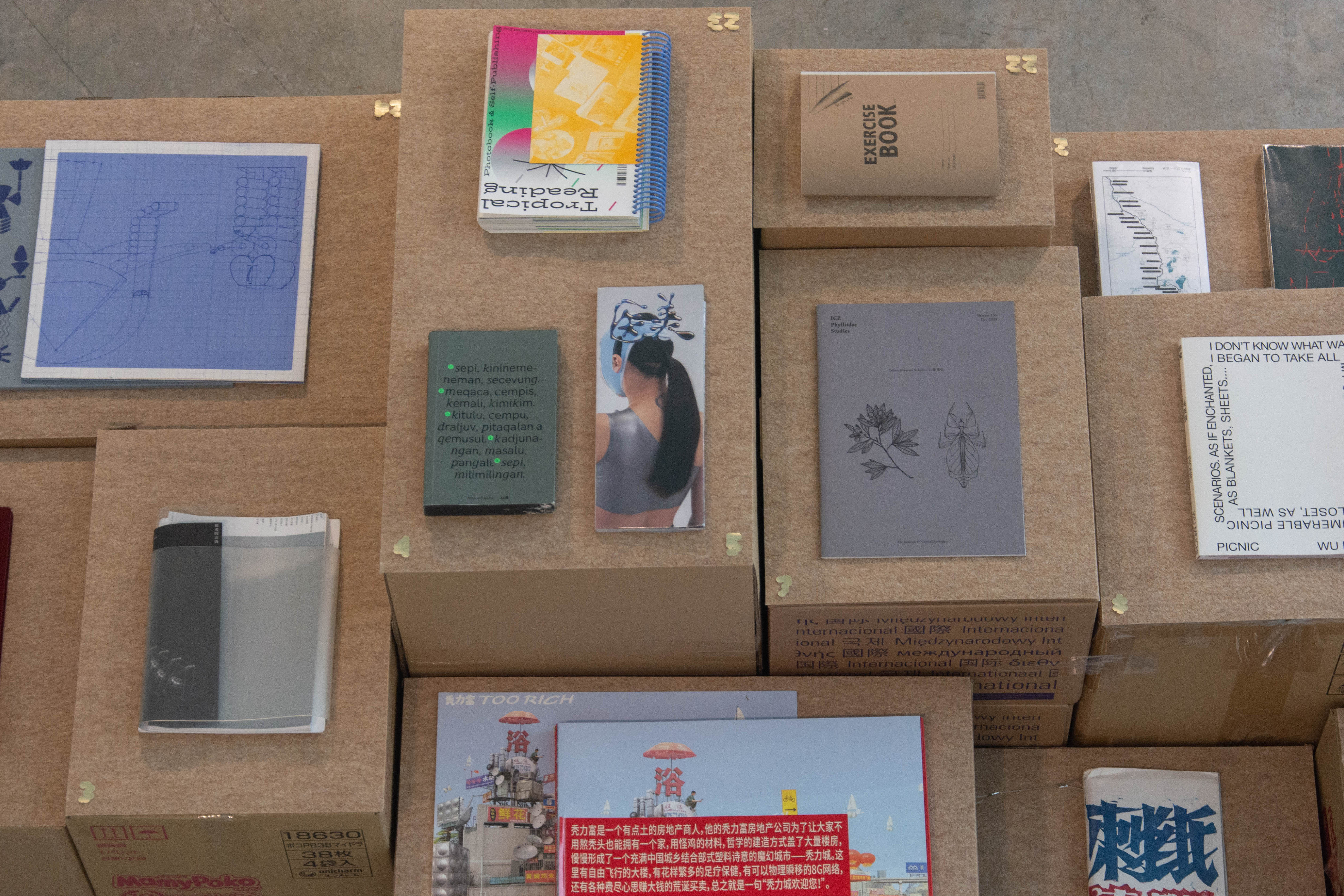 907 Book Nomad 2022 (exhibition design), for art book in China (abC)